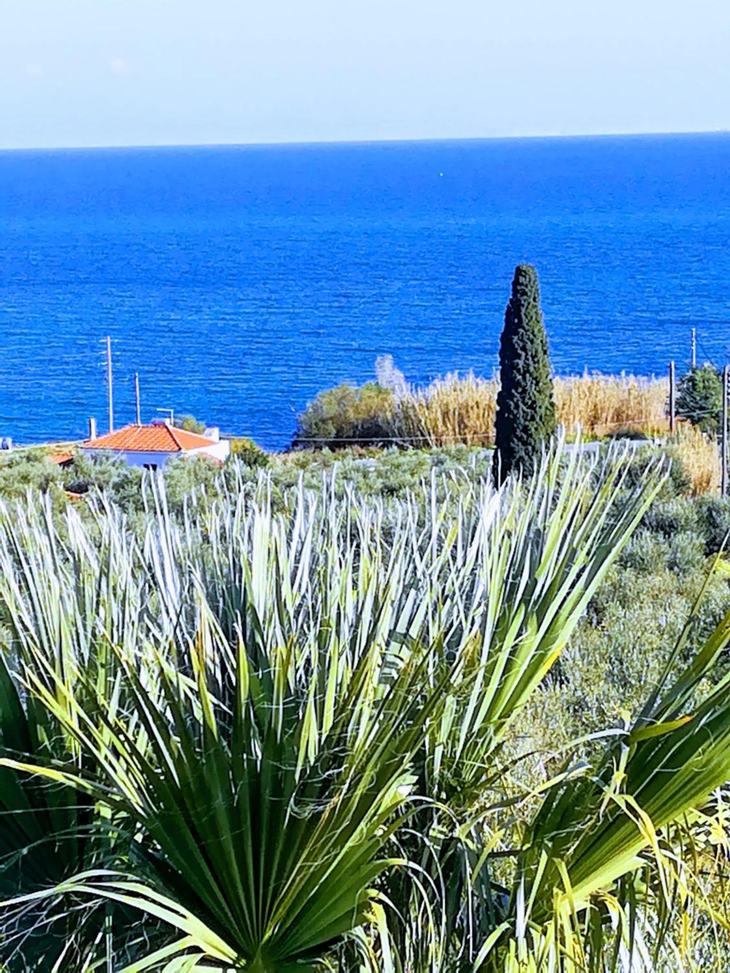 Villa Mariana Koroni  Exterior photo